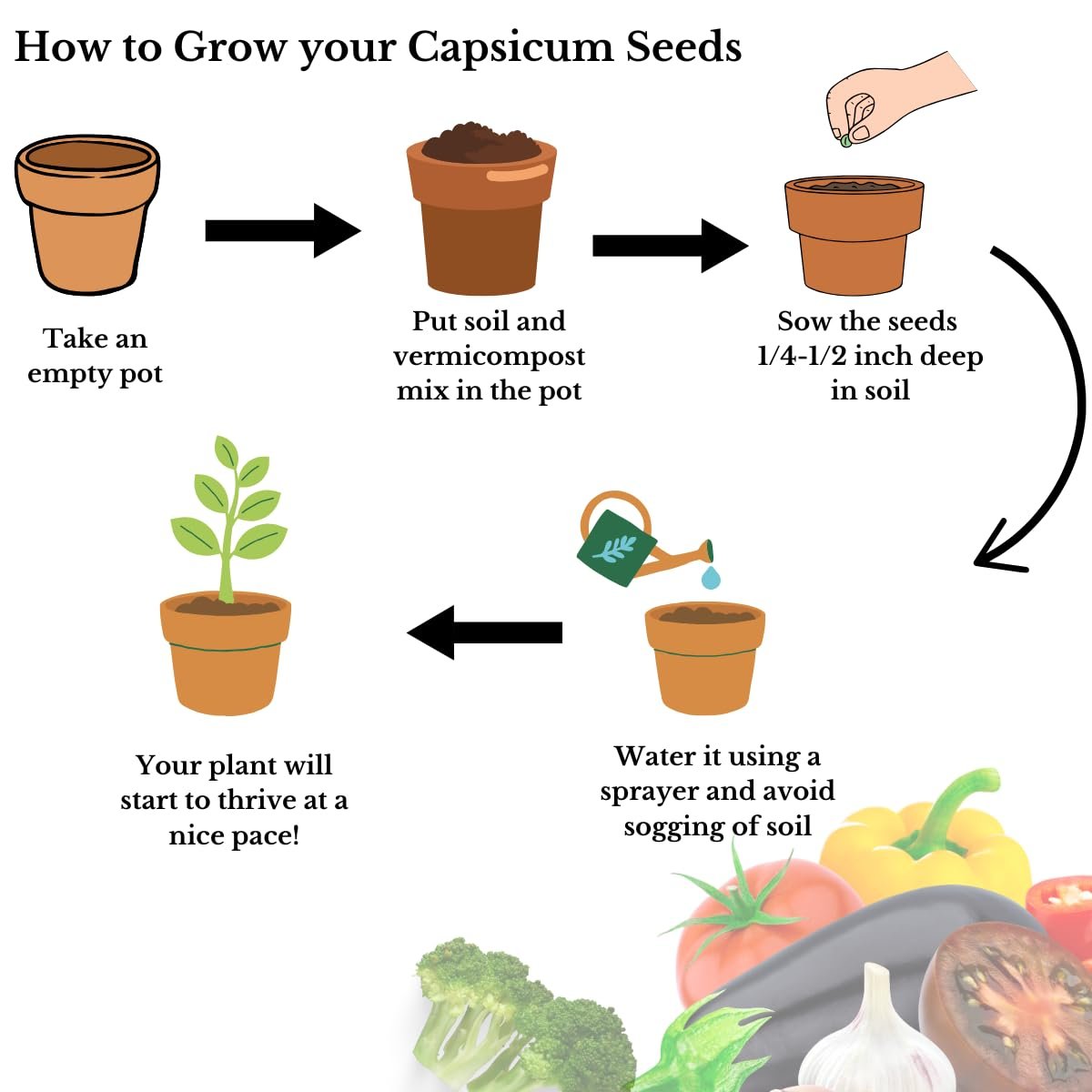 Saphirre Seeds Easy to Grow Capsicum Seeds Combo| 5 Different Varieties (Red, Yellow, Green, Brown, Orange)| 150 Seeds| Seeds for Home Garden| 90%+ Germination Rate - Image 4