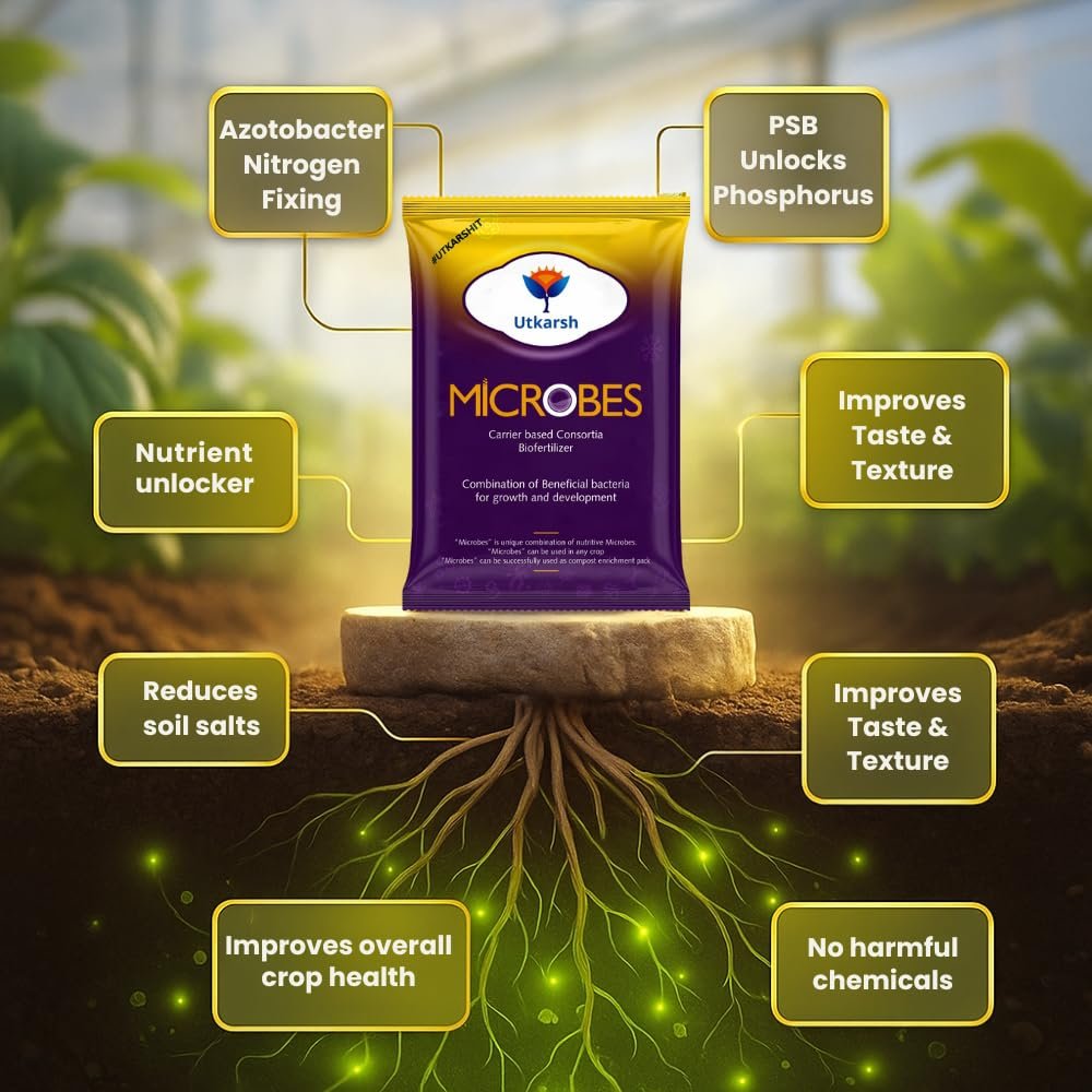 Utkarsh Microbes (Carrier Based Consortia Biofertilizer - Azotobacter, Acetobacter, Rhizobium, Phosphorus Solubilizing Bacteria PSB, Potassium Mobilizing Bacteria KMB) (900 gm; Pack of 1) - Image 6