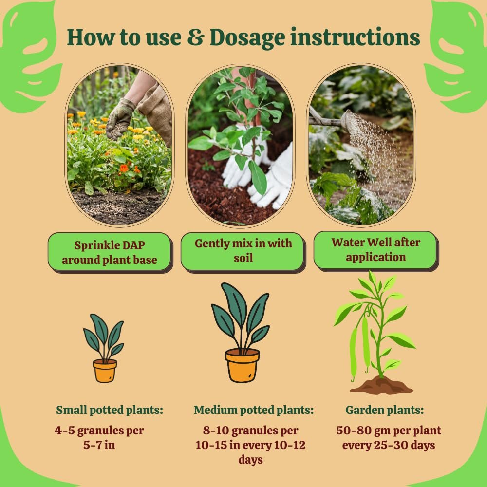 Utkarsh Prom - Phosphate Rich Organic Fertilizer for Plants, Organic DAP (900 gm; Pack of 1) - Image 5