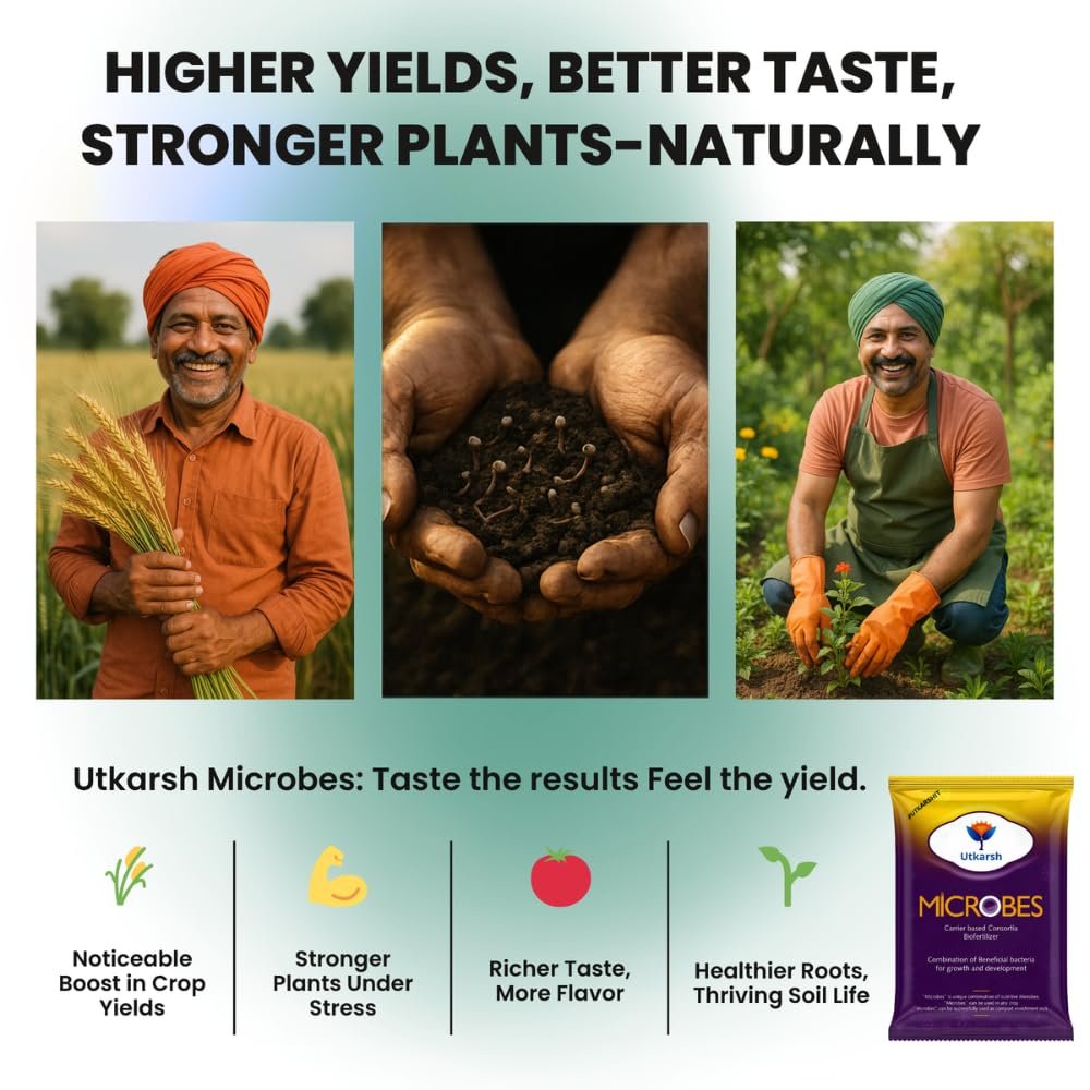 Utkarsh Microbes (Carrier Based Consortia Biofertilizer - Azotobacter, Acetobacter, Rhizobium, Phosphorus Solubilizing Bacteria PSB, Potassium Mobilizing Bacteria KMB) (900 gm; Pack of 1) - Image 5