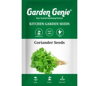 Garden Genie Coriander Seeds (Dhaniya) for Planting – (Green, Pack of 10g) | Vegetable Seeds for Home Garden