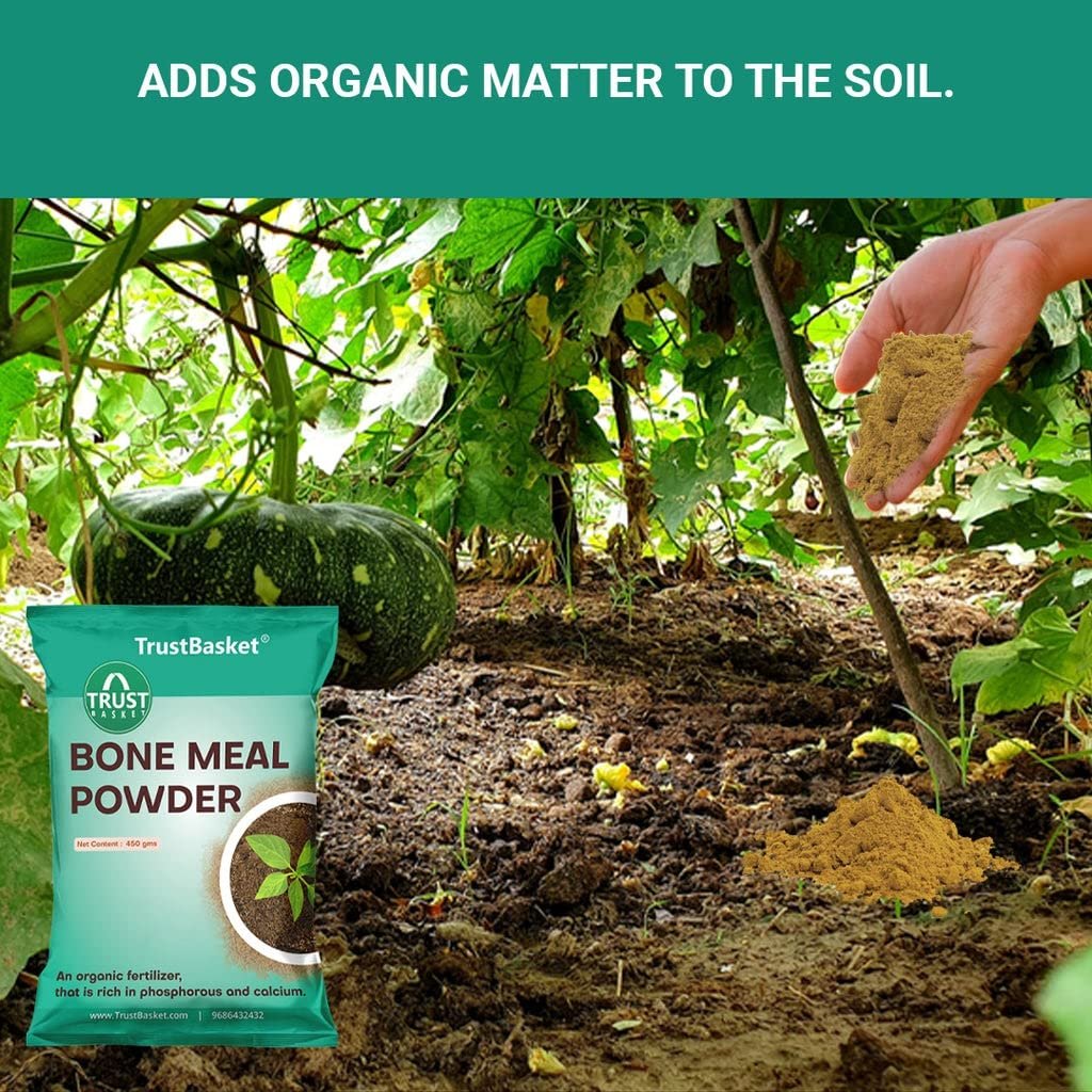 TrustBasket Bone Meal Fertilizer for Plants, 900 gm, Phosphorus and Calcium Rich | Fertilizer for Plants Home Garden | Steamed Bone Meal | Rich in | Natural Plant Fertilizer| 450 Grams (Set of 2) - Image 3