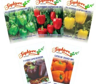 Saphirre Seeds Easy to Grow Capsicum Seeds Combo| 5 Different Varieties (Red, Yellow, Green, Brown, Orange)| 150 Seeds| Seeds for Home Garden| 90%+ Germination Rate