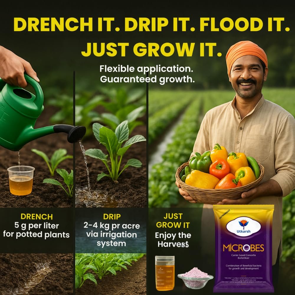 Utkarsh Microbes (Carrier Based Consortia Biofertilizer - Azotobacter, Acetobacter, Rhizobium, Phosphorus Solubilizing Bacteria PSB, Potassium Mobilizing Bacteria KMB) (900 gm; Pack of 1) - Image 4