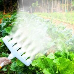 71FU9mn9ijL 71FU9mn9ijL