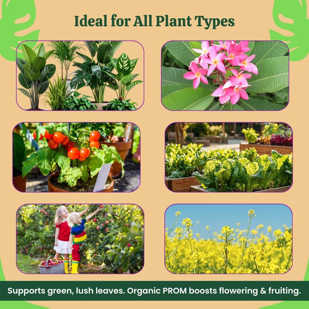 Utkarsh Prom - Phosphate Rich Organic Fertilizer for Plants, Organic DAP (900 gm; Pack of 1) - Image 4