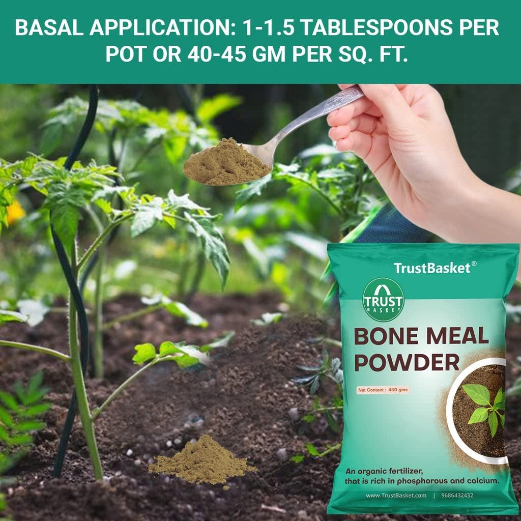 TrustBasket Bone Meal Fertilizer for Plants, 900 gm, Phosphorus and Calcium Rich | Fertilizer for Plants Home Garden | Steamed Bone Meal | Rich in | Natural Plant Fertilizer| 450 Grams (Set of 2) - Image 2