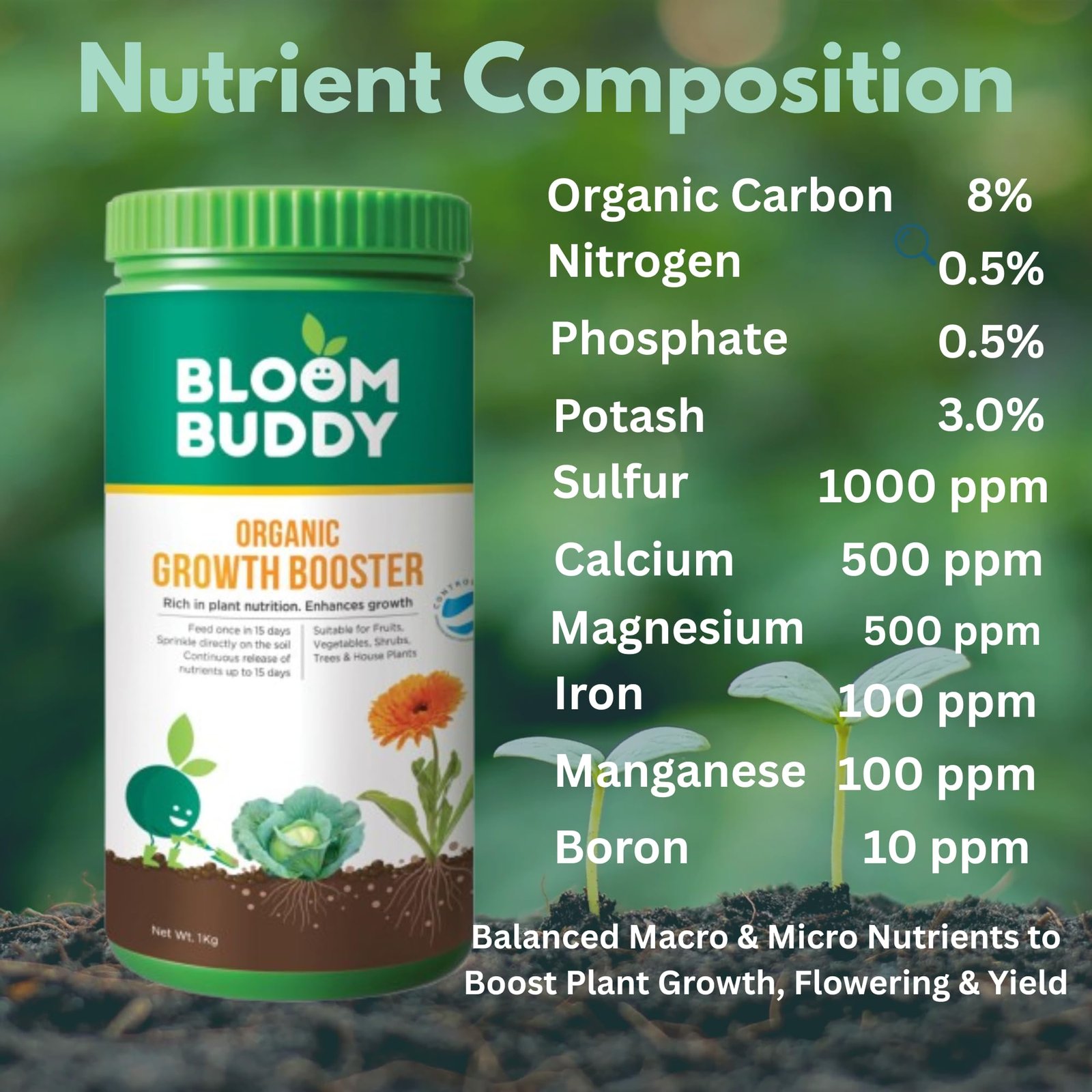BloomBuddy Plant Fertilizer 1kg Granules – 100% Organic NPK Rich Growth,Flower & Fruit Booster | Fertilizer for Plants Home Garden, Pot Plants,Indoor Plant Fertilizer,Plant Food,Potted Plant Nutrients - Image 5