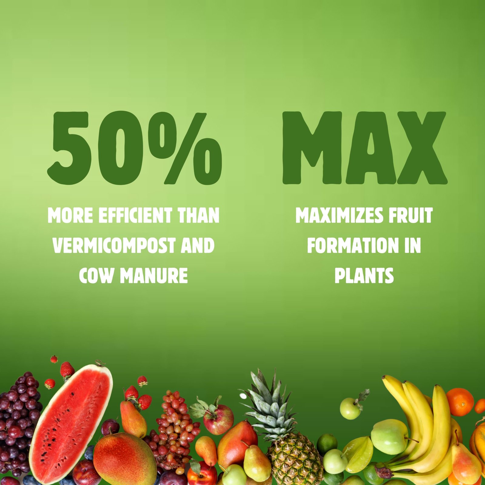 BloomBuddy Plant Fertilizer 1kg Granules – 100% Organic NPK Rich Growth,Flower & Fruit Booster | Fertilizer for Plants Home Garden, Pot Plants,Indoor Plant Fertilizer,Plant Food,Potted Plant Nutrients - Image 4