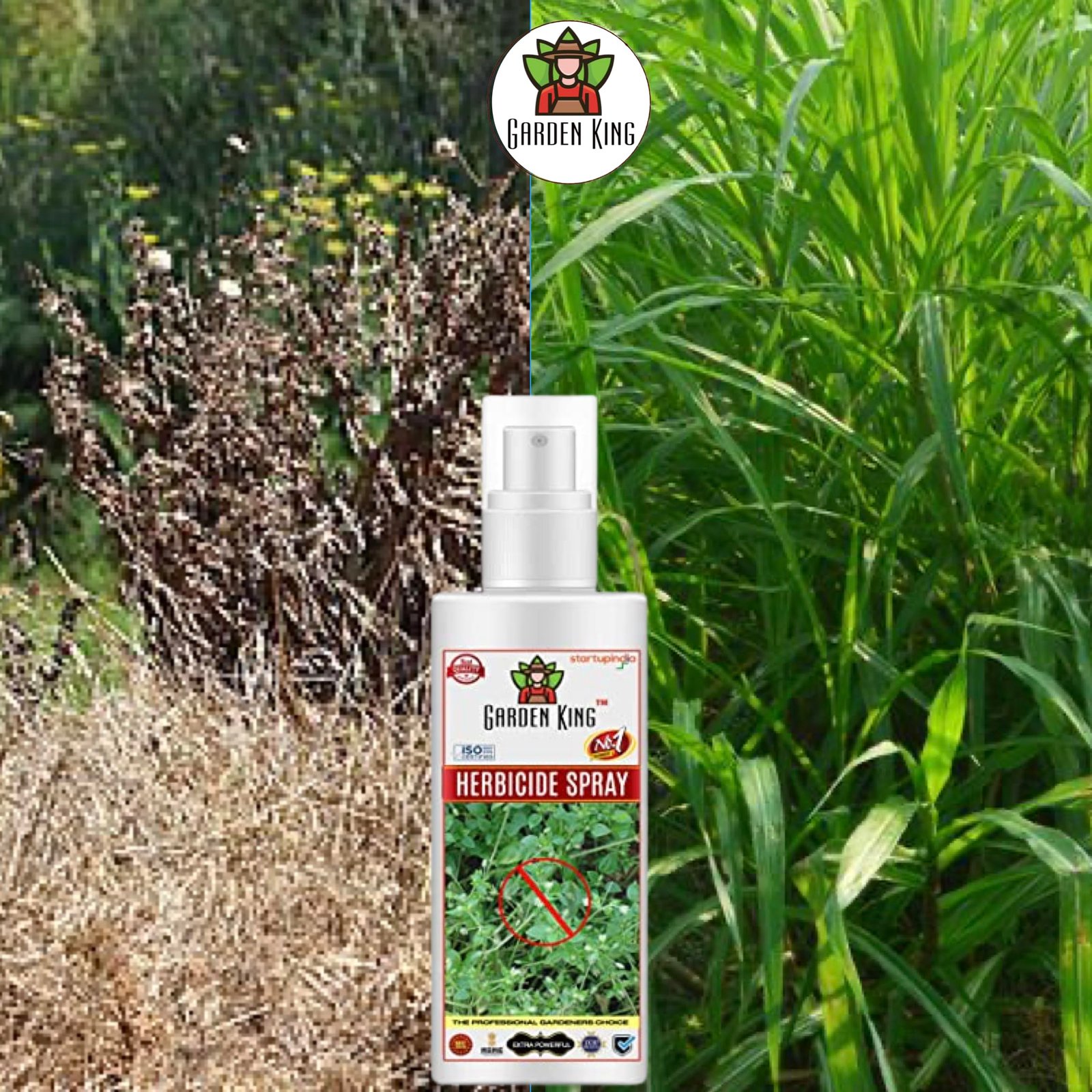 Sansar Agro® Herbicide Spray, Premium Essential Liquid Spray for Removing all types of Wild Herbs (100 ml) - Image 2