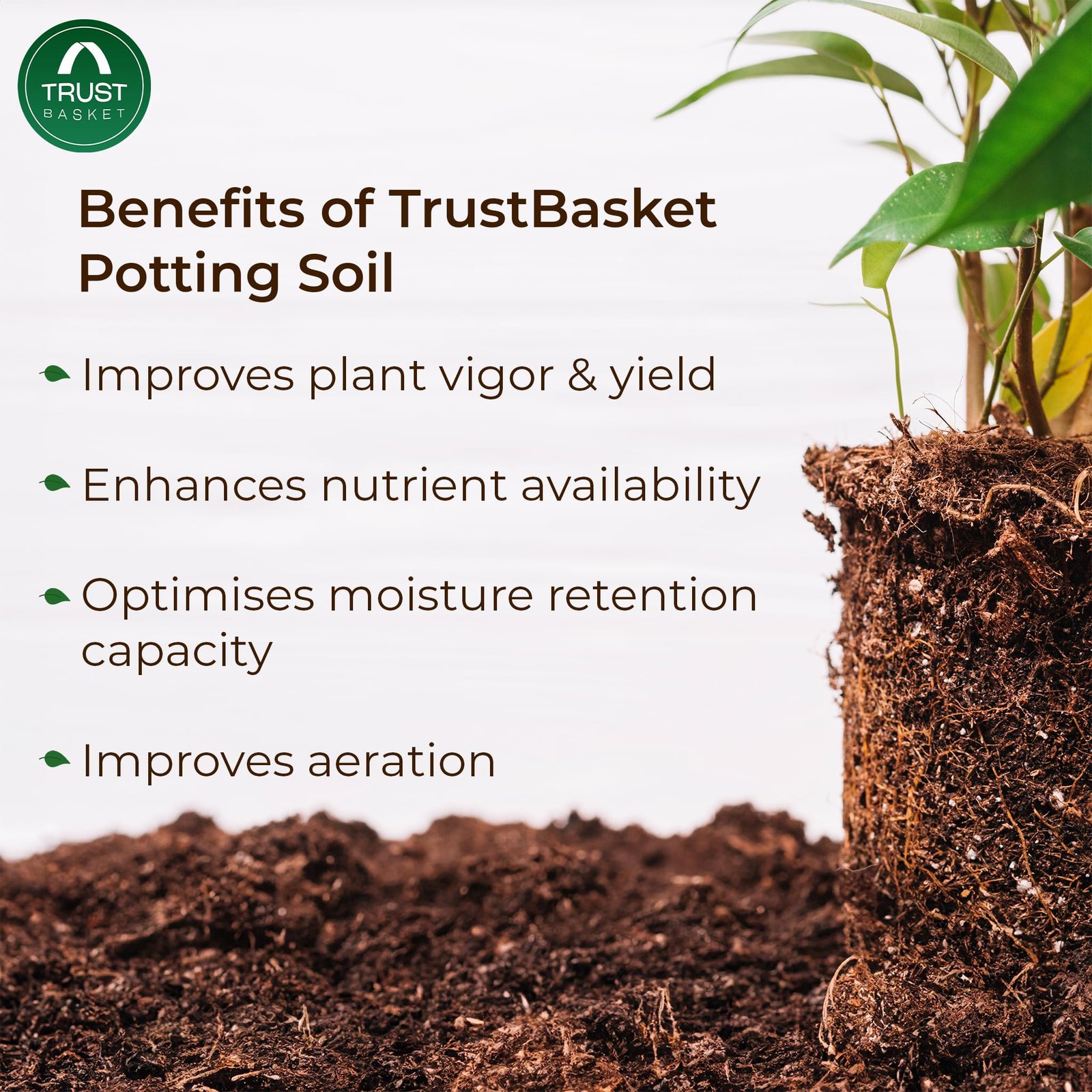 TrustBasket Enriched organic Earth Magic Potting Soil Fertilizer for Plants, 5 Kg - Image 5