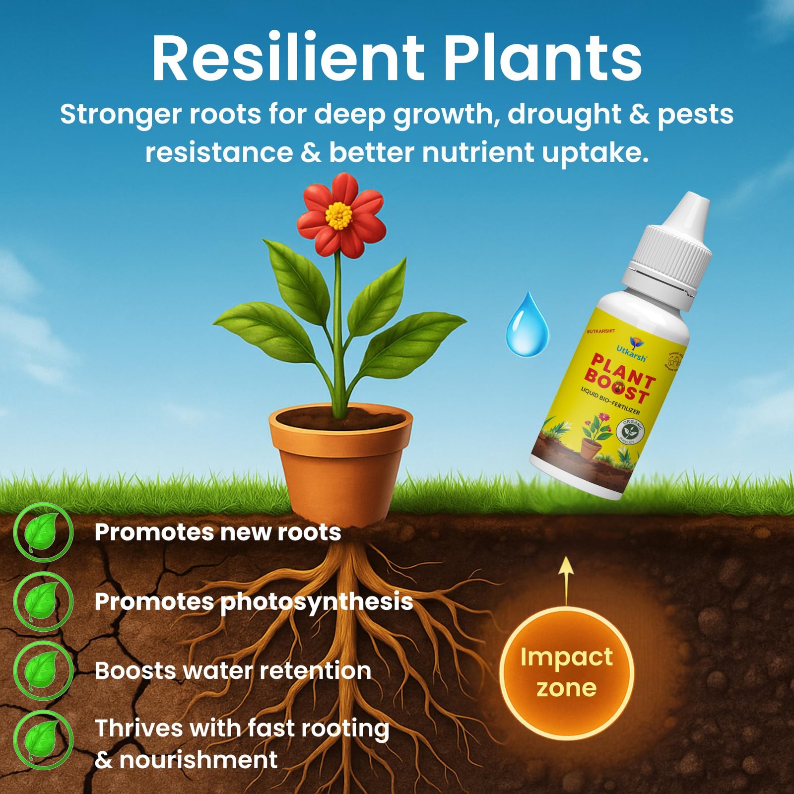Utkarsh Plant Boost - Liquid Bio Fertilizer, Organic Growth Booster for Faster, Healthier Home Garden Plants, Ideal for Vegetables, Flowers, Herbs & Promotes Healthy Roots (Pack of 3 of 50 ml) - Image 8
