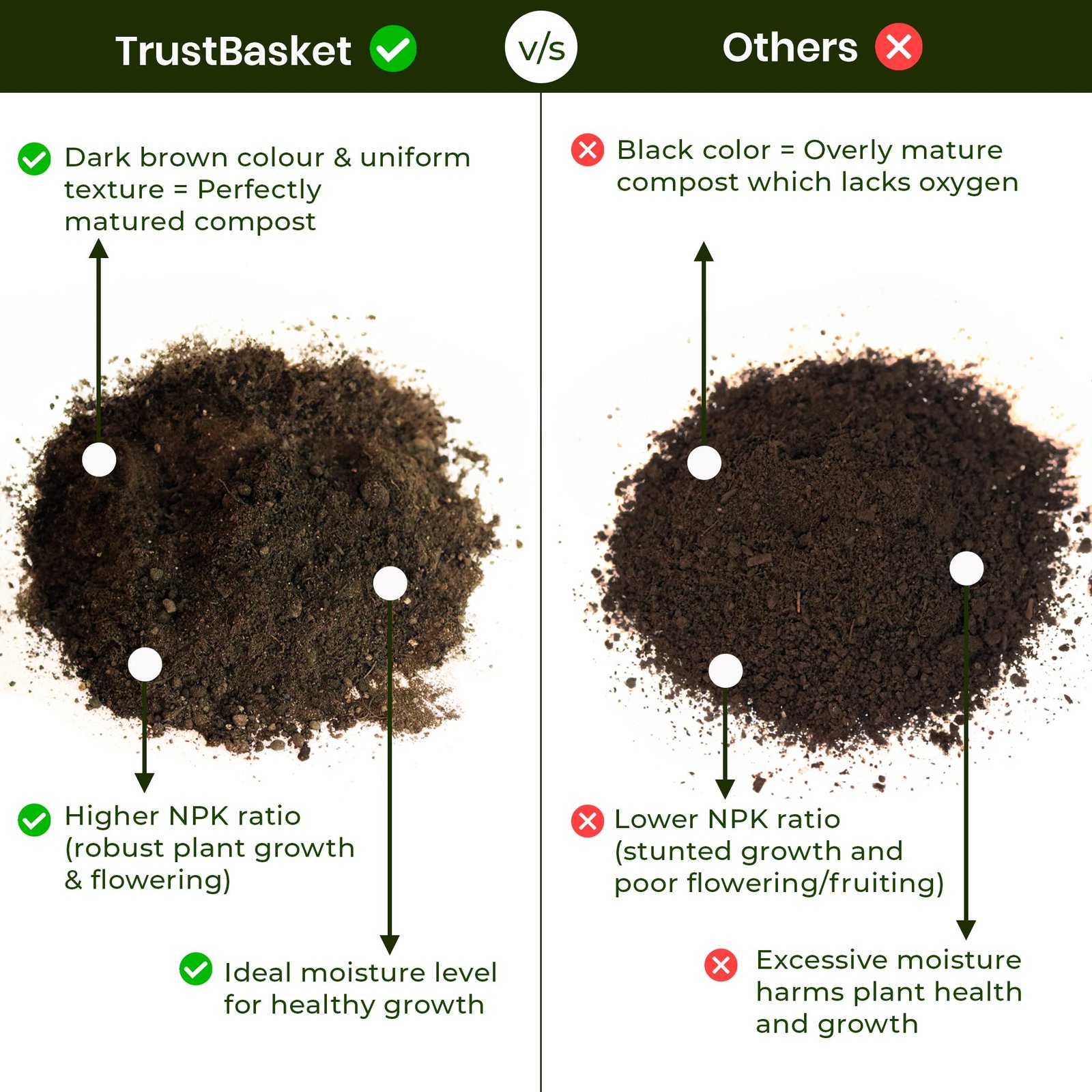 TrustBasket Vermicompost 10kg 100% Natural Organic Fertilizer for Plants, Nutrient-Rich Compost for Home Garden | Improves Plant Health, Water Retention & Soil Quality | Ideal for All Gardening Needs - Image 6