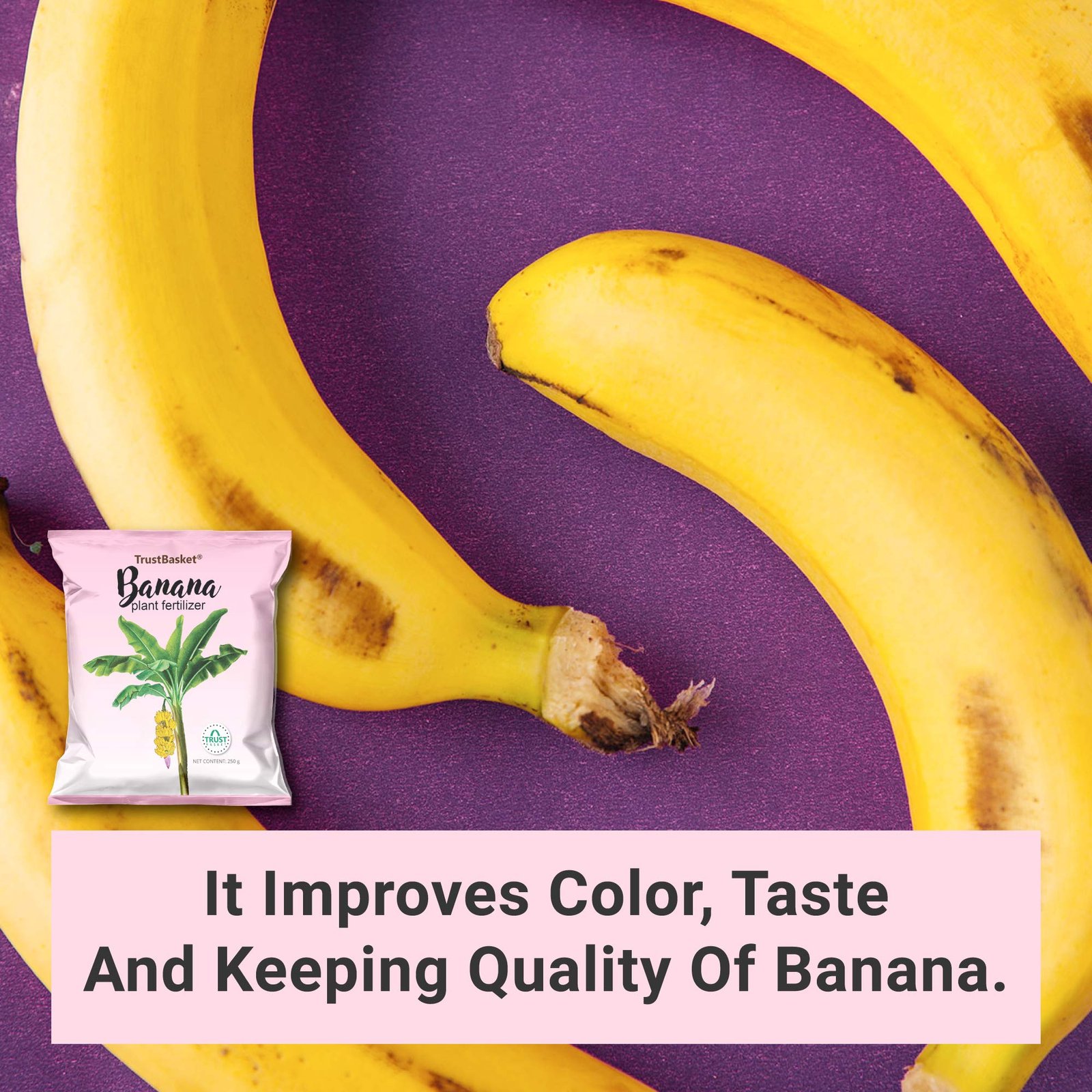 TrustBasket Banana Plant Fertilizer(250 gm) - Image 4