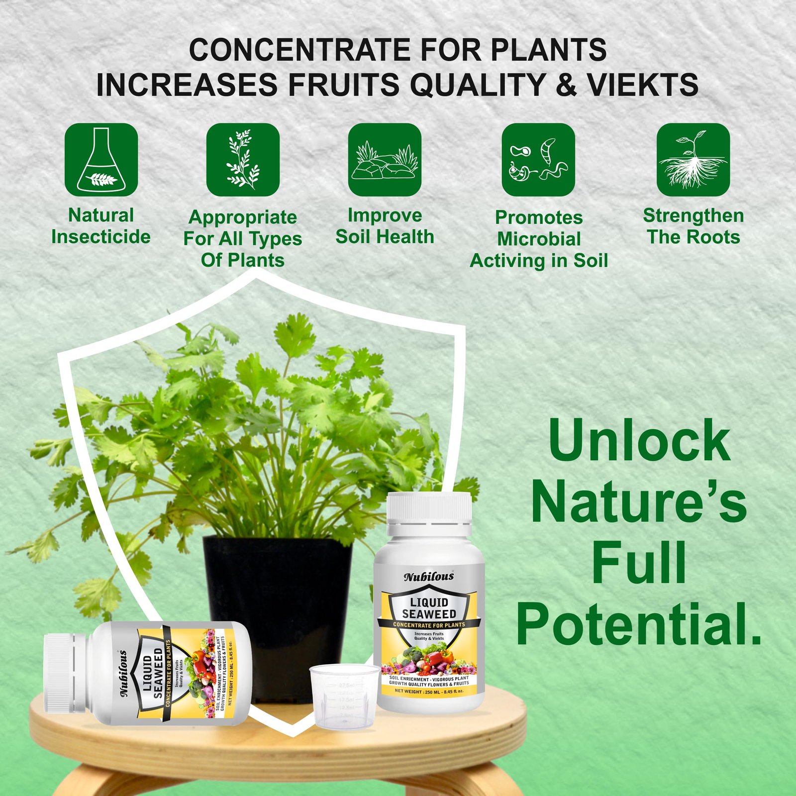 Nubilous 250 ML Liquid Seaweed Fertilizer Concentrate with Measuring Cup 25 ml for Indoor & Outdoor Plant - Growth Booster Plants Tonic For Speed Growth, Healthy Roots (250 ml (Pack of 1)) - Image 5