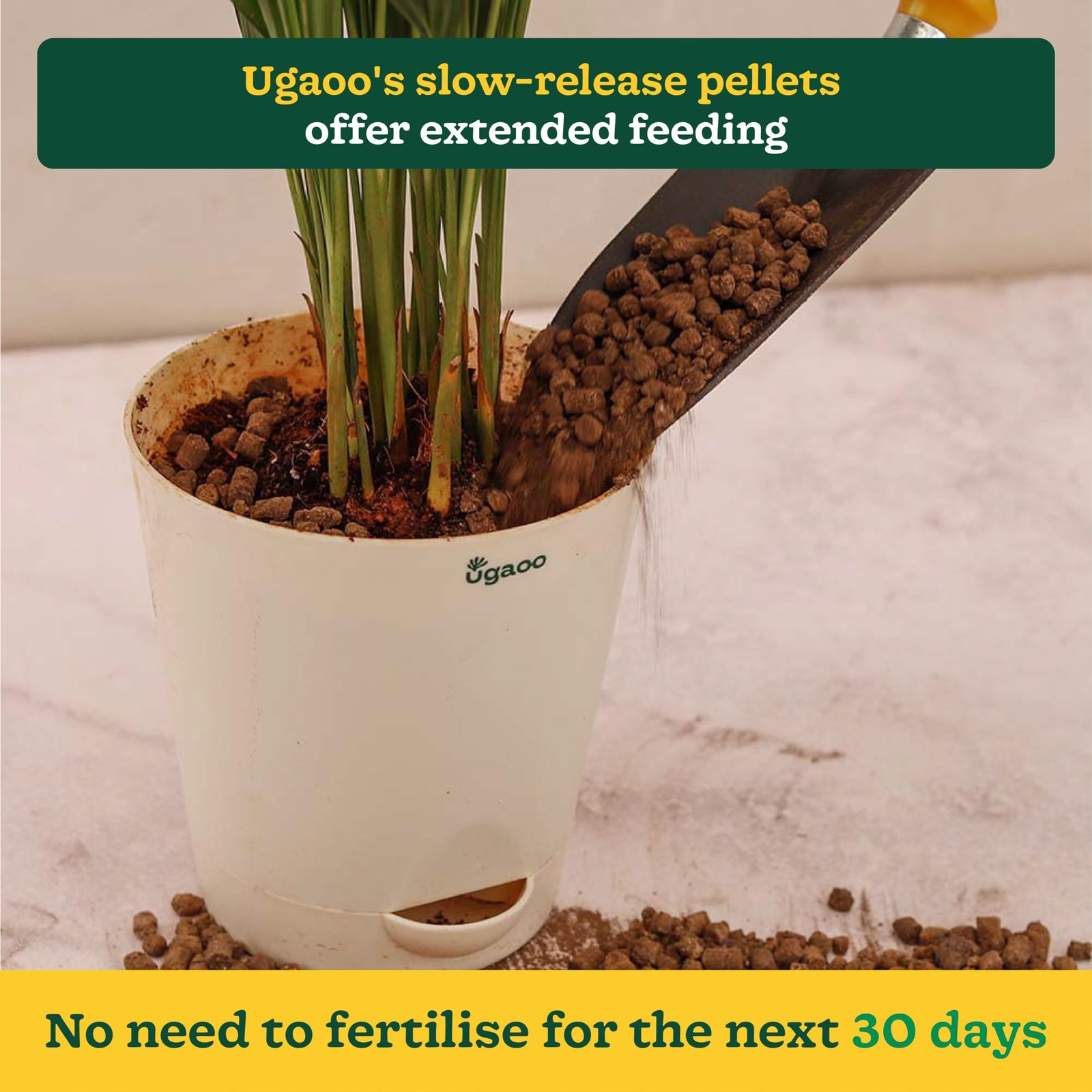 Ugaoo Plant Fertilizer Pellets - Organic Growth Booster for Plants 1 kg - Image 2