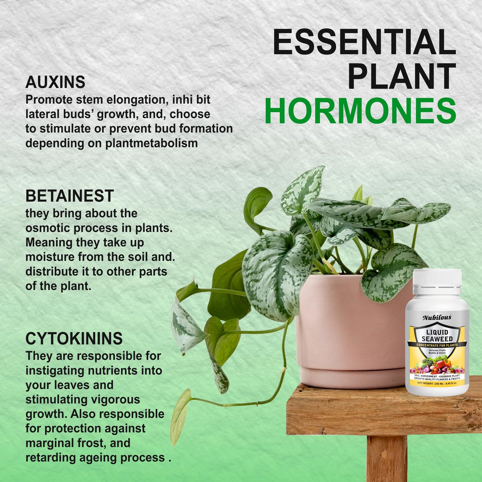 Nubilous 250 ML Liquid Seaweed Fertilizer Concentrate with Measuring Cup 25 ml for Indoor & Outdoor Plant - Growth Booster Plants Tonic For Speed Growth, Healthy Roots (250 ml (Pack of 1)) - Image 4