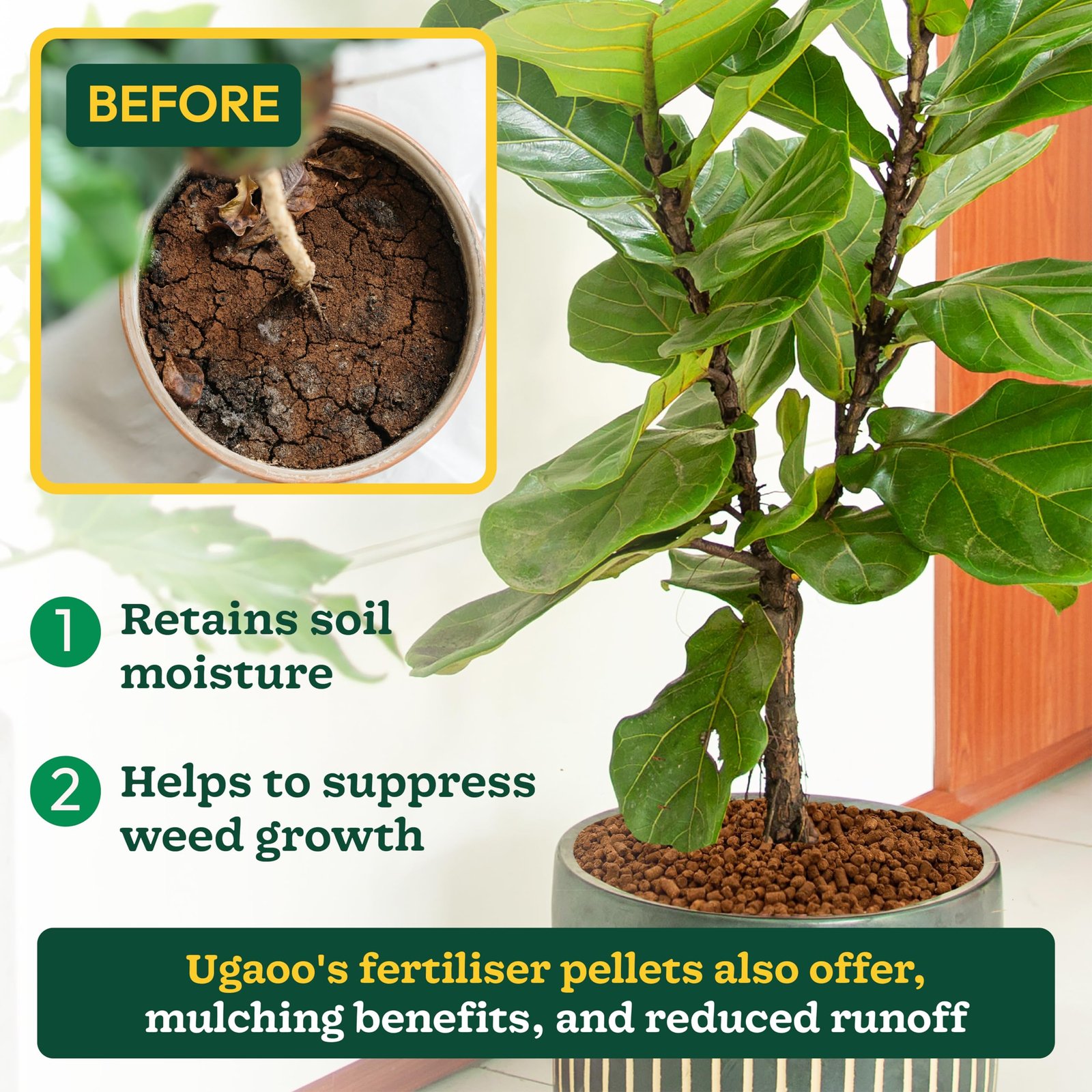 Ugaoo Plant Fertilizer Pellets - Organic Growth Booster for Plants 1 kg - Image 6