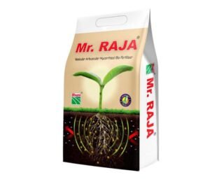 Bhumi Mr. Raja Organic Fertiliser – 1 Kg | Ideal for Gardening & Farming | Enhance Root Development & Overall Plant Health | Improve Nutrient Uptake | Environment Friendly (Pack of 4)