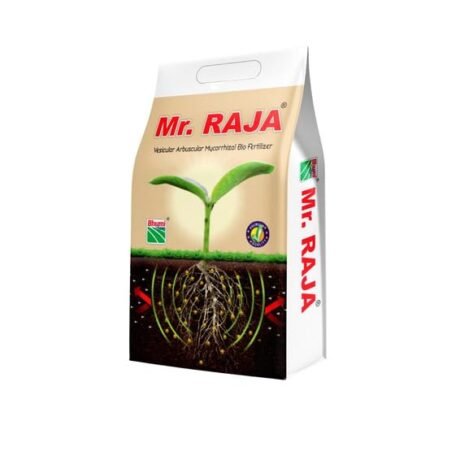 Bhumi Mr. Raja Organic Fertiliser – 1 Kg | Ideal for Gardening & Farming | Enhance Root Development & Overall Plant Health | Improve Nutrient Uptake | Environment Friendly (Pack of 4)