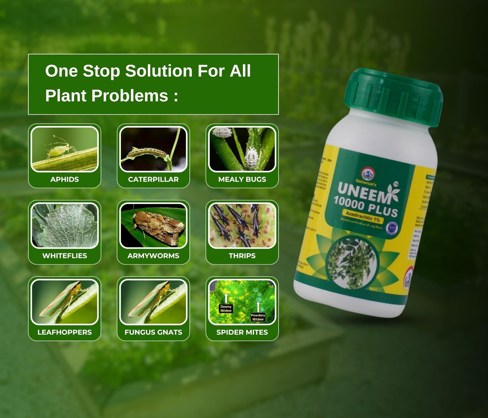 PLANTS & ROOTS Organic Pure Neem Oil For Plants Insects Spray 10000ppm 250ml Water Soluble Cold Pressed Neem Oil For Agriculture Farming & Gardening Active Azadirachtin For Fungus, Thrips - Image 4